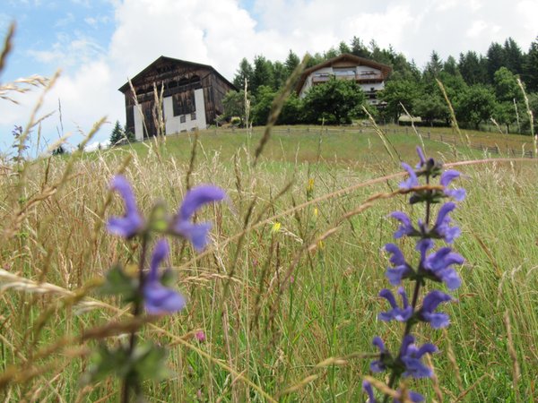 Photo exteriors in summer Grotthof