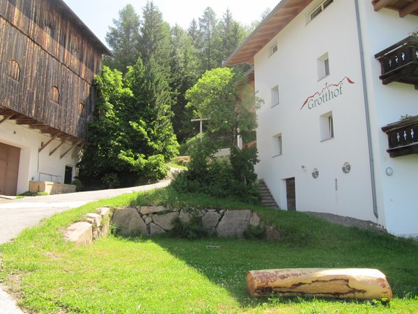 Foto esterno in estate Grotthof