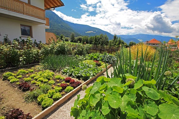 Foto del giardino Riscone