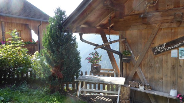 Foto esterno Appartamenti in agriturismo Lü Mesavila