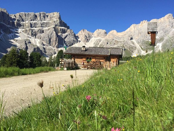 Sommer Präsentationsbild Berghütte Ütia Ciampcios