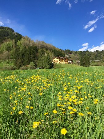 Bildergalerie Sommer