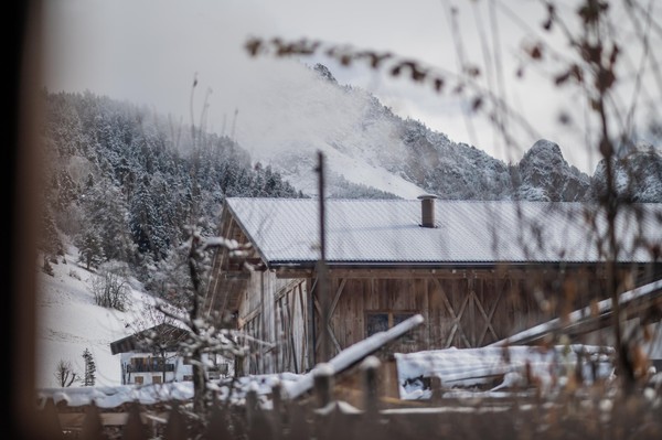 Photo exteriors Farmhouse apartments Osteria Plazores - rustic sleep