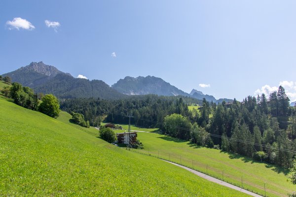Bildergalerie Sommer