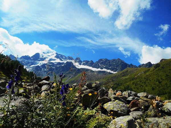 Panorama Valdidentro (Bormio e dintorni)