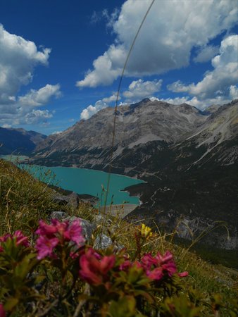 Gallery Valdidentro (Bormio e dintorni) estate