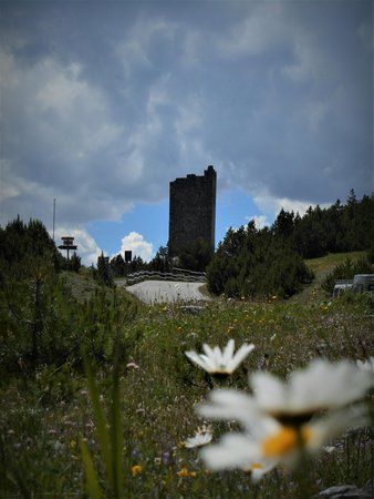 Gallery Valtellina estate