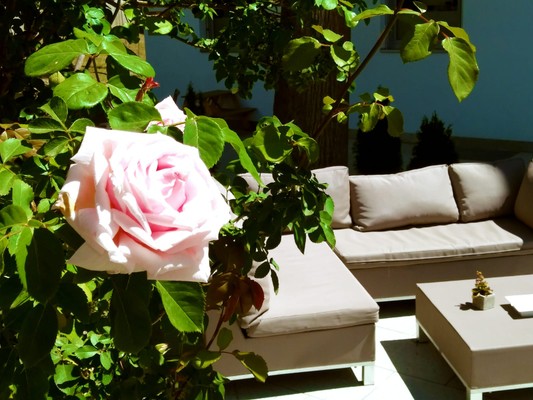 Photo of the garden Naturno / Naturns