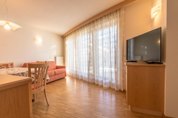 The living area Apartments Ciasa Dolomites