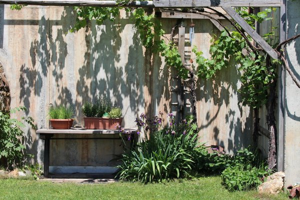 Foto vom Garten Mölten