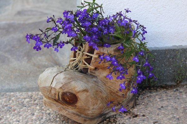 Foto vom Garten Mölten