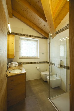 Foto del bagno Fiemme Home Mountain Apartment
