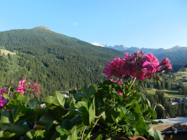 Panorama Valdidentro (Bormio e dintorni)