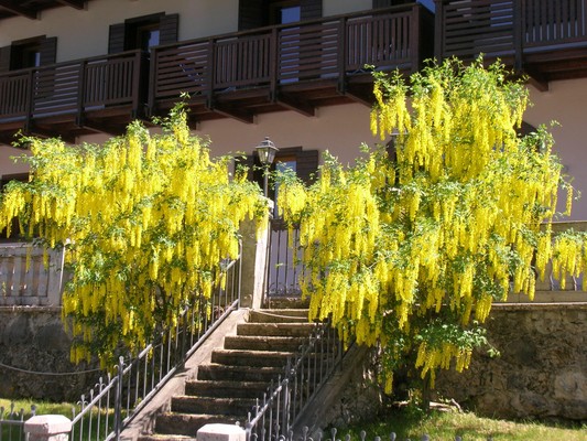 Foto Außenansicht Ferienwohnungen Regina