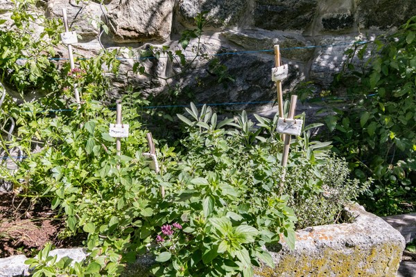 Photo of the garden Malles - Clusio / Schleis