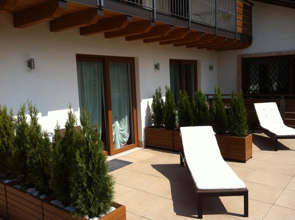 Photo of the terrace