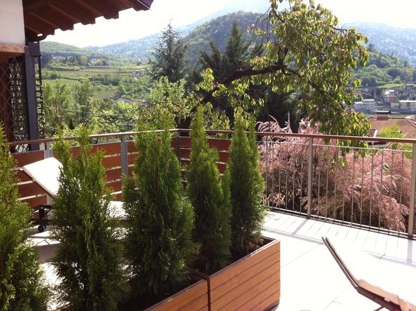 Photo of the terrace