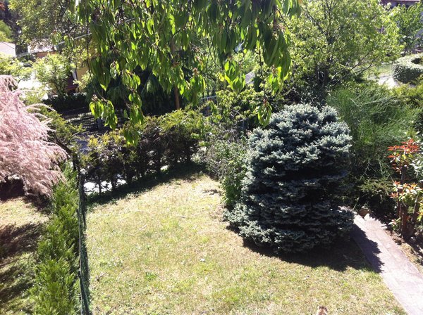 Photo of the garden Trento