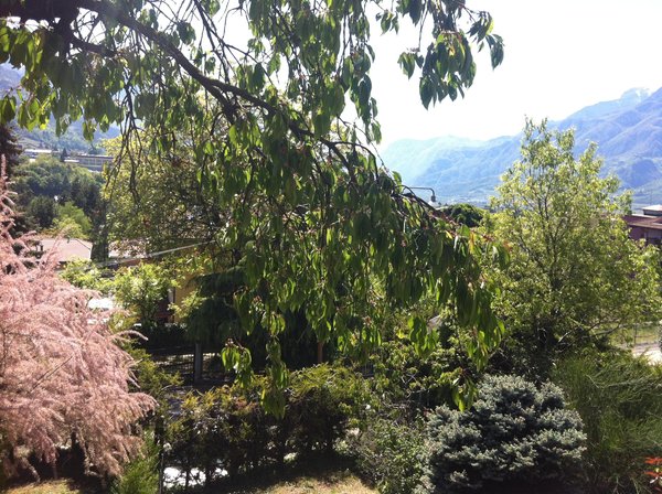 Photo of the garden Trento