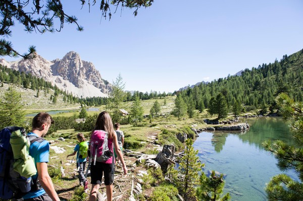 Attività Plan de Corones