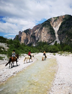 Aktivitäten Kronplatz