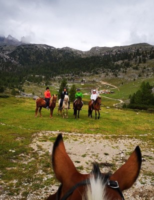 Aktivitäten Kronplatz