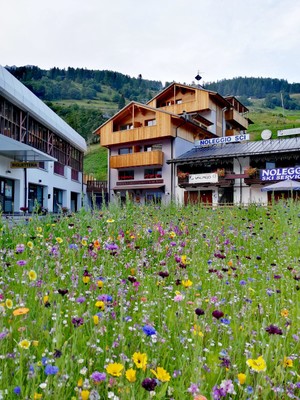 Foto esterno Hotel + Residence 3mila
