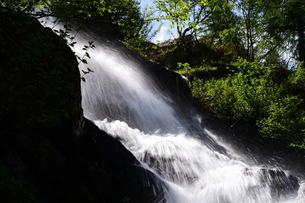 Bildergalerie Val di Sole und Val Rendena Sommer