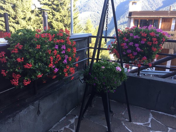 Foto del balcone Lores 2