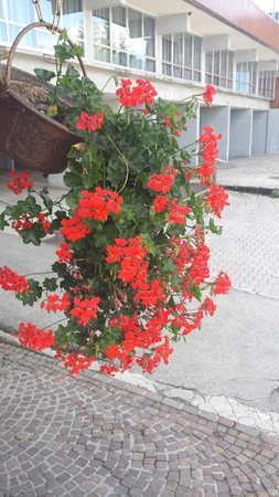 Foto del giardino Mezzana
