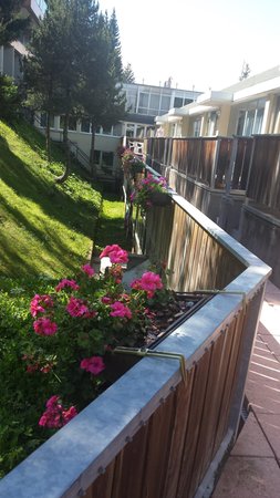 Foto del giardino Mezzana