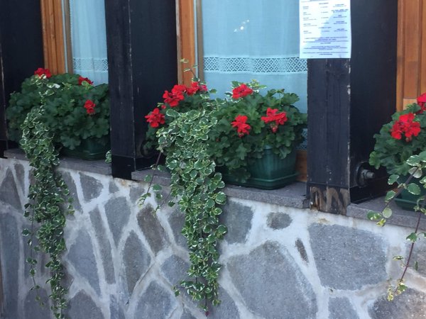 Foto del giardino Mezzana