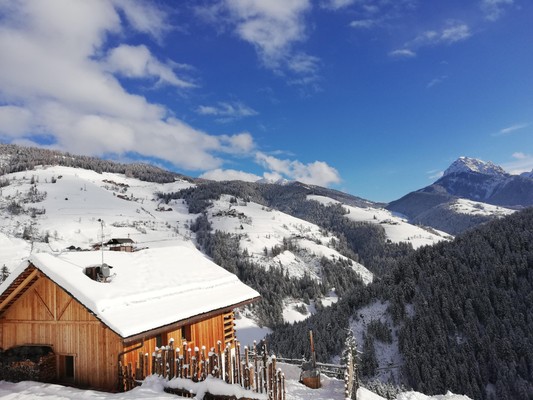 Photo exteriors Natur Chalet