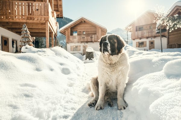 Foto esterno in inverno Chalet Pradel Dolomites