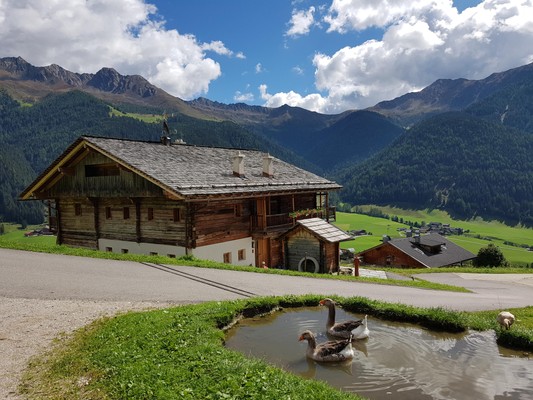 Foto esterno Appartamenti Casa Vitus anno 1530