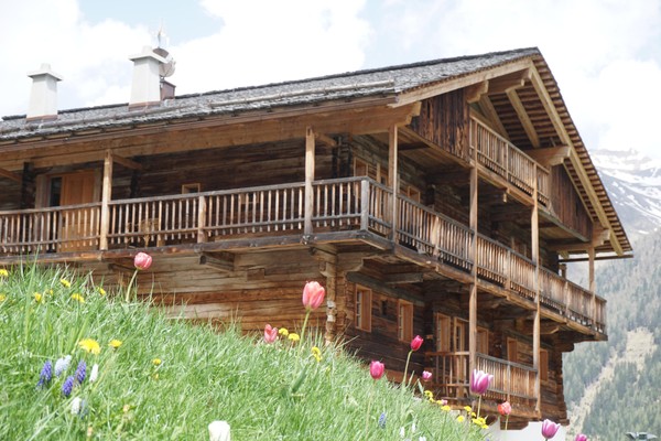 Foto Außenansicht Ferienwohnungen Casa Vitus anno 1530