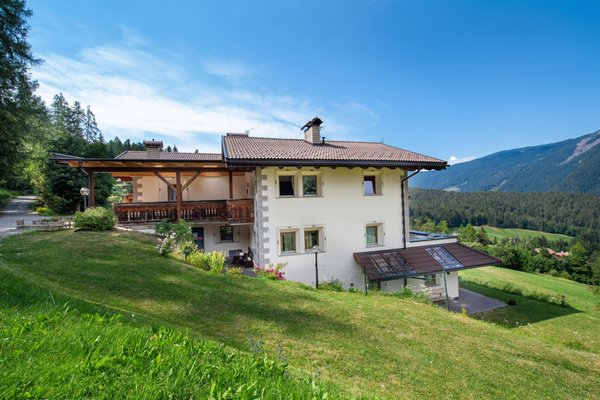 Photo exteriors in summer Chalet Alpina