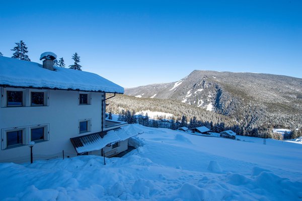 Foto esterno in inverno Chalet Alpina