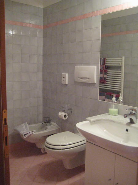 Foto vom Bad Bed & Breakfast Ciasa Weber