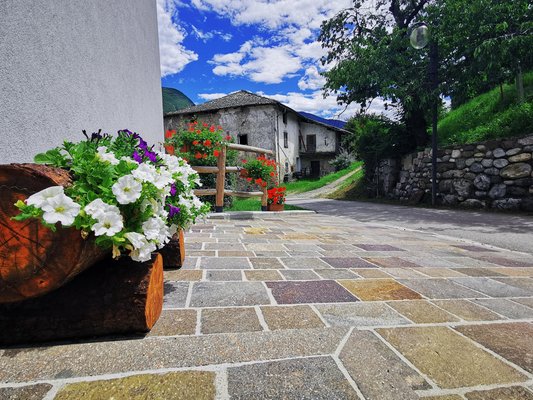 Foto vom Garten Campodenno (Cles - Tuenno - Ton)