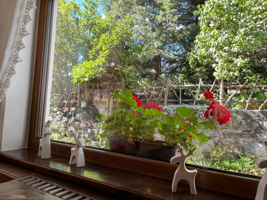 Le parti comuni Bed & Breakfast Bucaneve