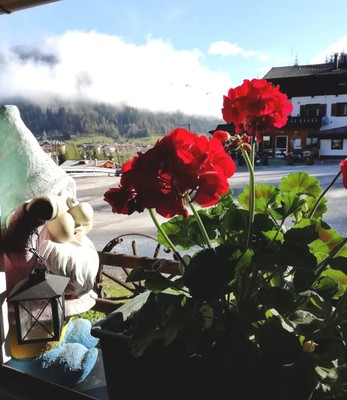 Foto del giardino Santo Stefano di Cadore