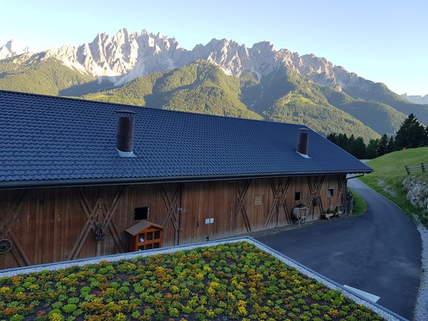 Photo exteriors in summer Kuentnerhof - Maso Kuentner