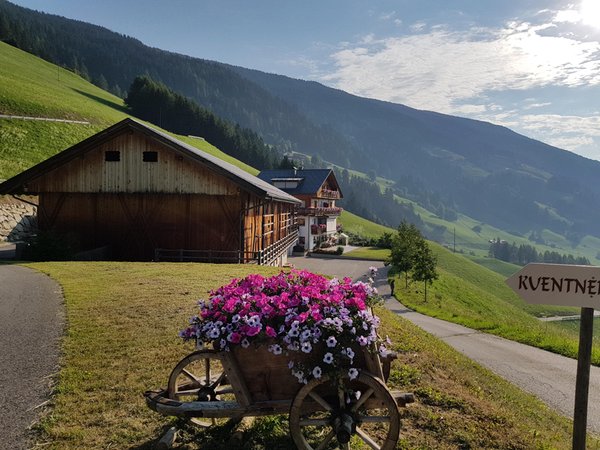 Photo exteriors in summer Kuentnerhof - Maso Kuentner