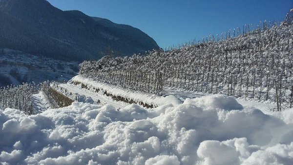 Gallery inverno