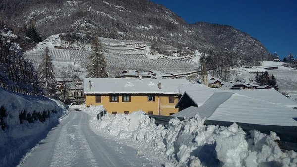 Photo exteriors in winter Casa Ciclamino Val di Sole