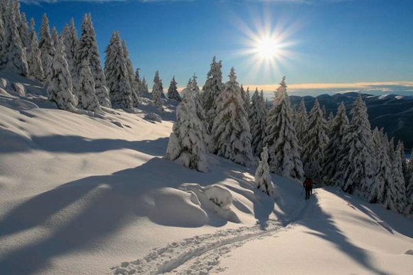 Photo gallery Val di Sole and Val Rendena winter
