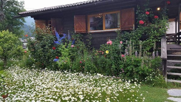 Foto esterno in estate Chalet Orse e Rose