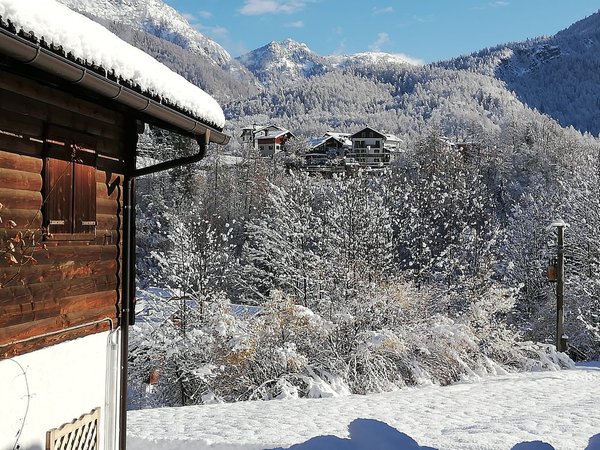 Photo exteriors in winter Chalet Orse e Rose