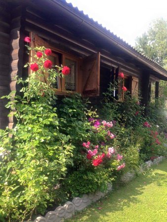 Foto esterno in estate Chalet Orse e Rose
